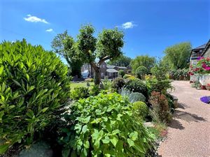 Photo 11- click for photo gallery